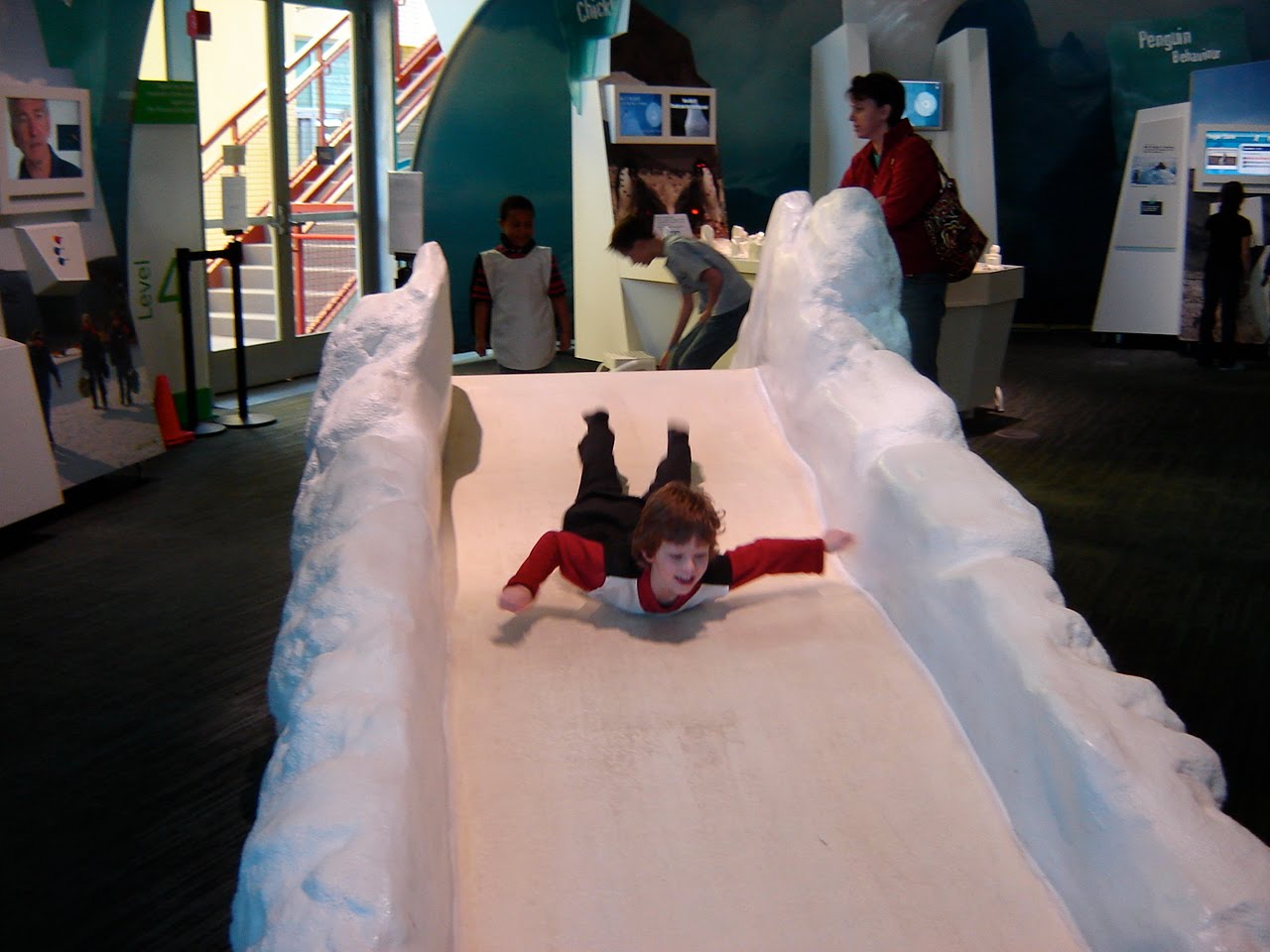 Regional Multicultural School K/1 Field Trips to the CT Science